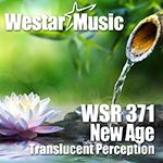 WSR-371